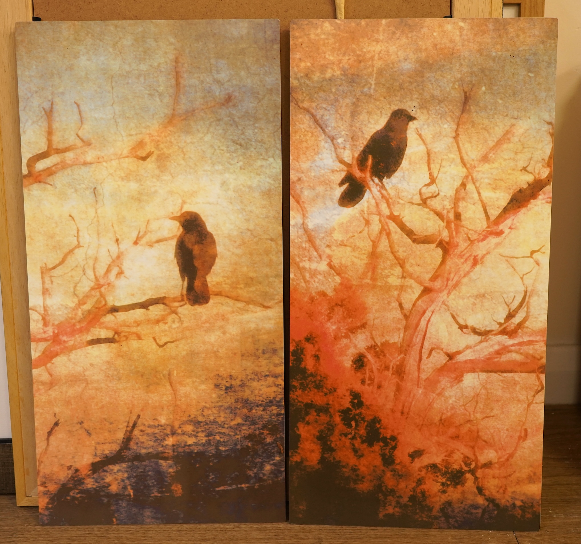 Three photographic prints to include one by Valda Bailey (contemporary), abstract composition, signed and limited edition 3/10, and a pair of prints on metal by Karen Waters, birds, signed verso, largest 32 x 48cm, Prove
